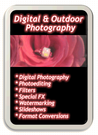 Digital Photography services provided by Laura Rose.  Digital Photography, Photography, Photoediting, Filters, Special Effects (FX), Watermarking, Slideshows, Format Conversions