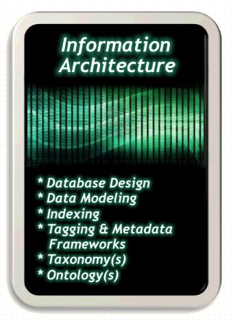 Information Architecture services provided by Laura Rose.  Database Design, Data Modeling, Indexing, Tagging, Metadata Frameworks, Taxonomy, Ontology, and more!