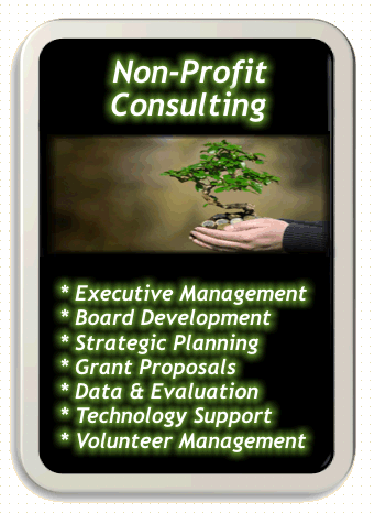 Nonprofit Consulting services provided by Laura Rose.  Executive Management, Board Development, Strategic Planning, Grant Proposals, Data and Evaluation, Technology Support, Volunteer Management, and more!